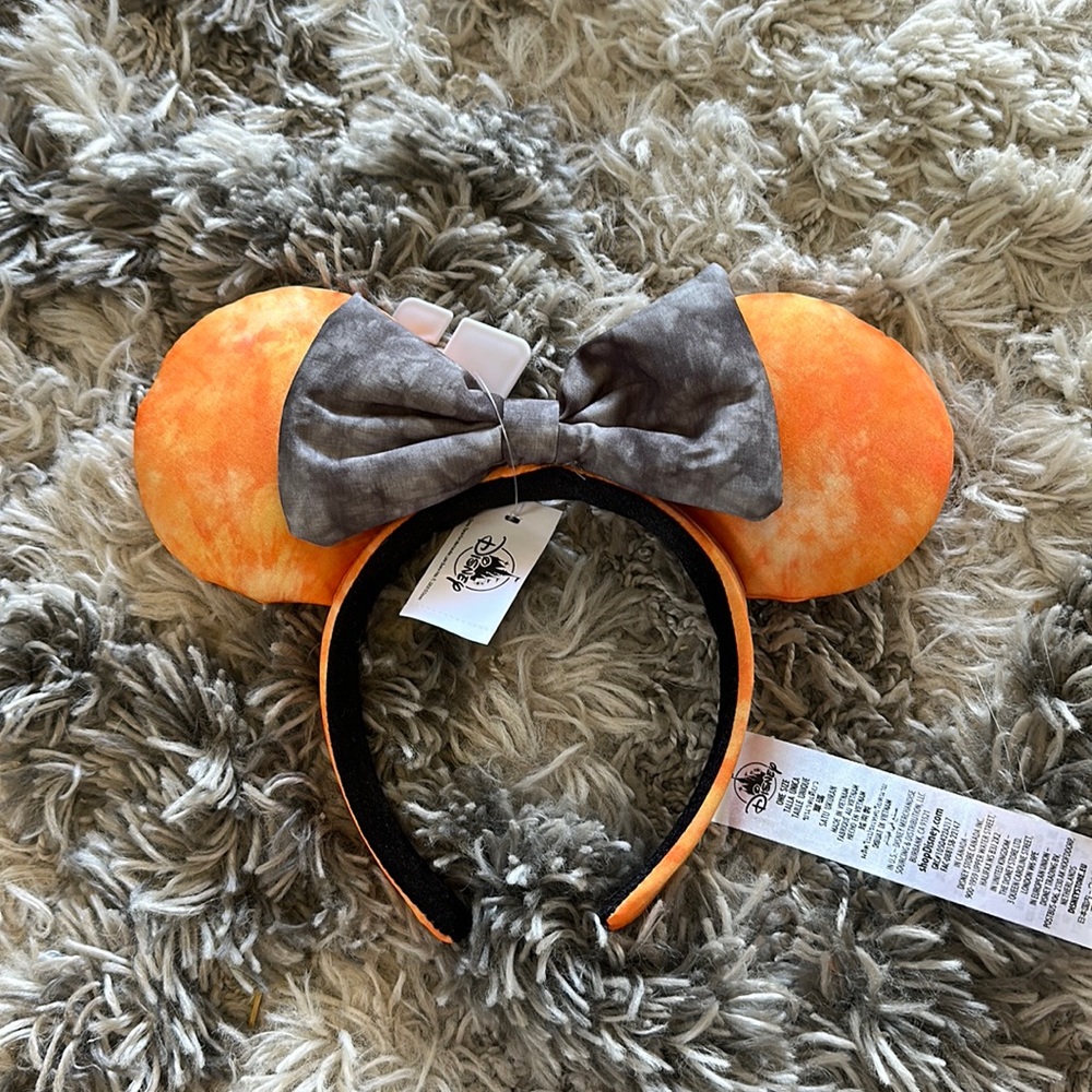 Disney Parks Ears